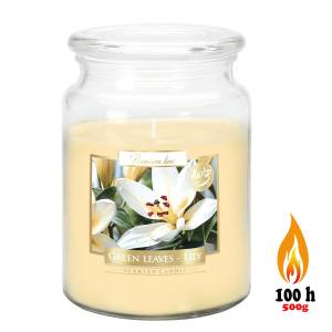 Świeca zapachowa w szkle ZIELONE LIŚCIE LILIA  100 h   