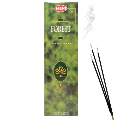Forest.jpg
