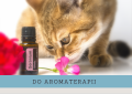 do aromaterapii.png