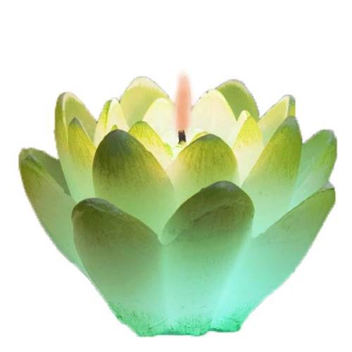 Lilia z diodą 001.jpg