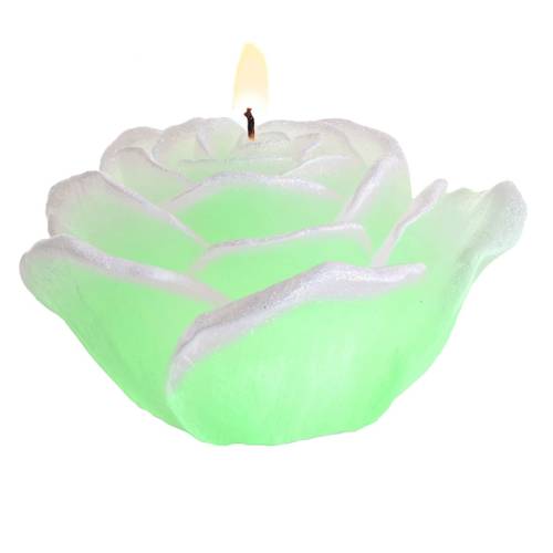 Róże z diodą0019.jpg