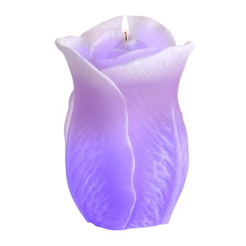 Róże z diodą0023.jpg