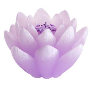 Świeca Kwiat Lilia fioletowy