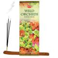 Wild Orchids.jpg